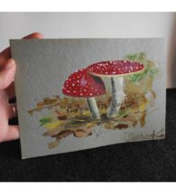 amanita-painting