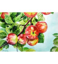 apples-artwork