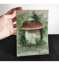 boletus-artwork