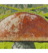 boletus-artwork