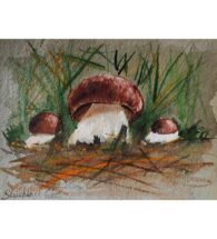 boletus-artwork