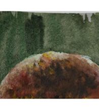 boletus-artwork