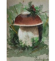 boletus-artwork