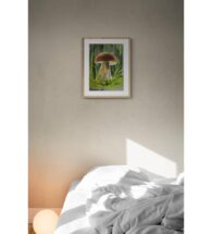 boletus-wall-art