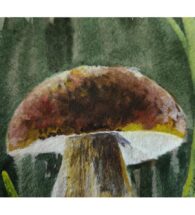 boletus-wall-art