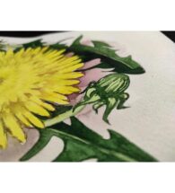 botanical-painting