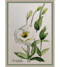 botanical-wall-art