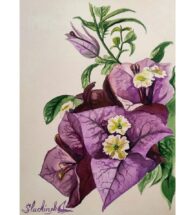 bougainvillea-art