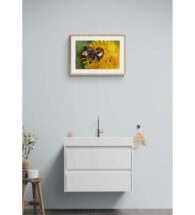 bumble-bee-artwork