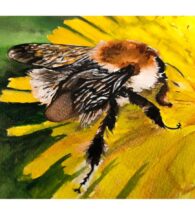 bumble-bee-painting