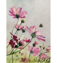 cosmea-painting