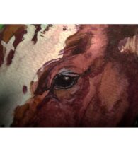 cow-painting