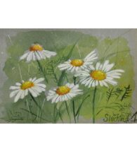 daisy-painting