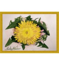 dandelion-wall-art