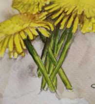 dandelion-wall-art