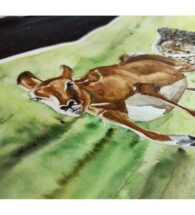 deer-painting