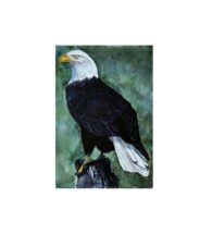 eagle-painting