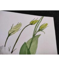 flower-painting