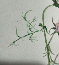 flower-painting