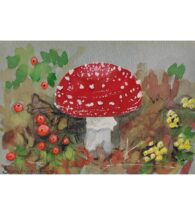 fly-agaric-artwork