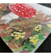 fly-agaric-artwork