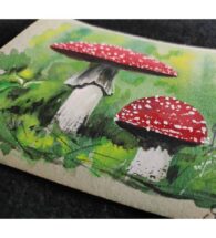 fly-agaric-artwork