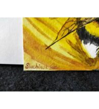 insect-painting