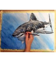 jaws-art