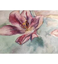 lily-painting