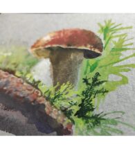 mushroom-painting