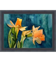 narcissus-flower-art