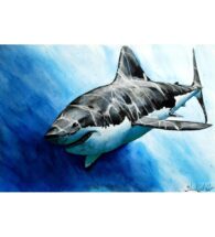 shark-painting