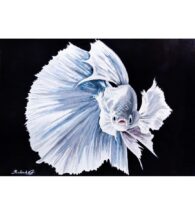 veiltail-painting